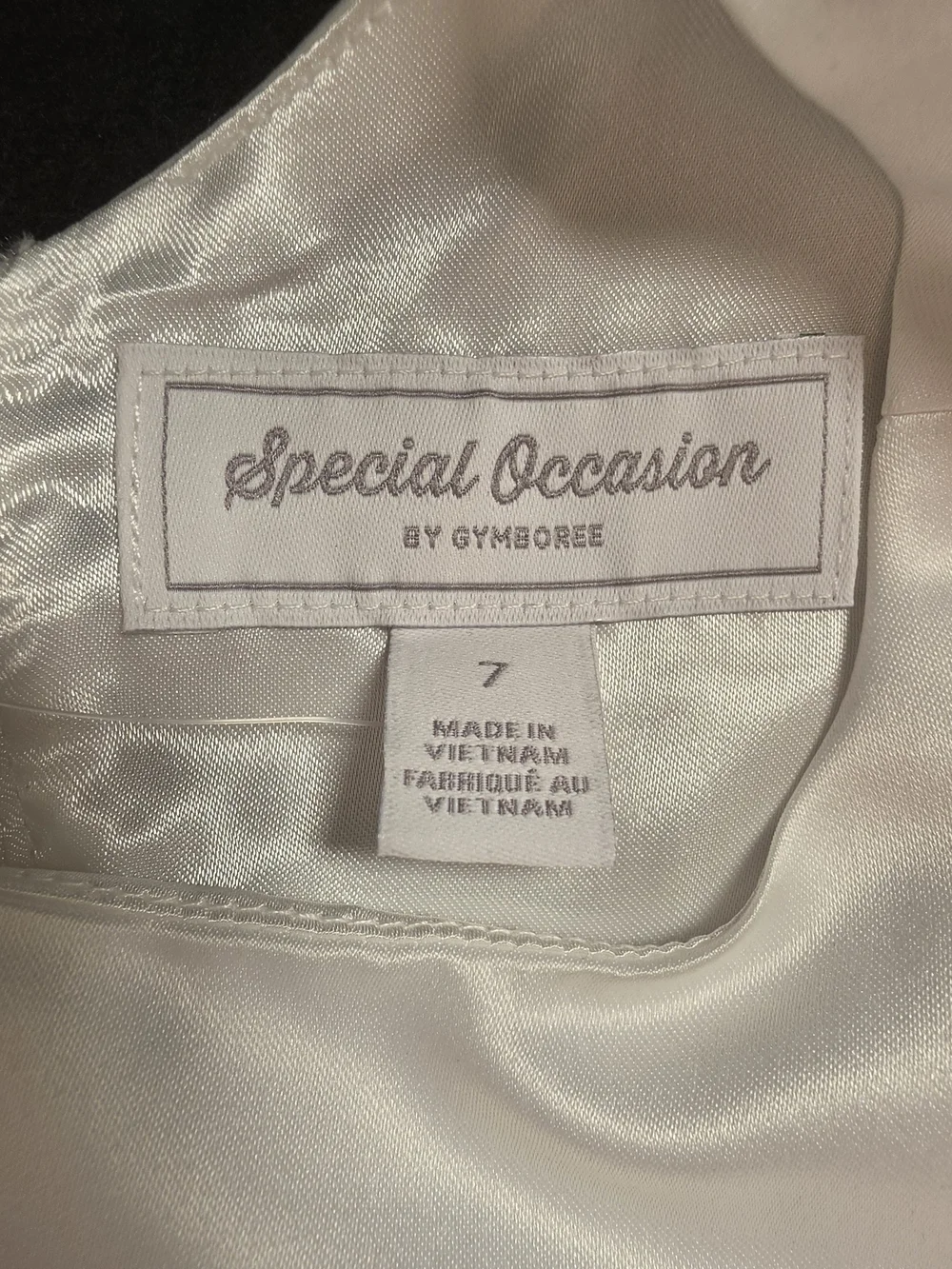 Gymboree White Satin & Tulle Dress with Waist Bow